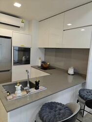 Amber Park (D15), Condominium #544953641